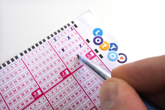 探索蛇六合彩彩票生肖：品牌力量与中奖魅力